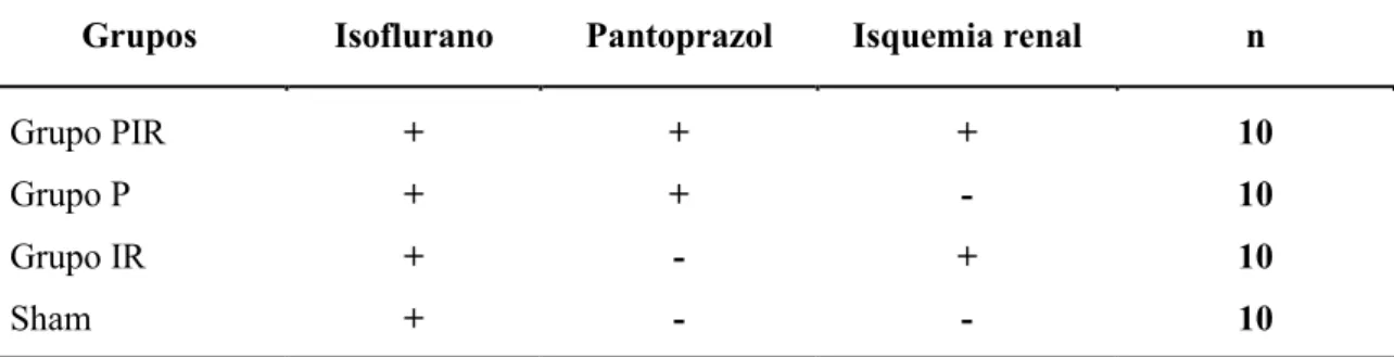 Tabela 1 - Resumo dos grupos quanto à anestesia utilizada, uso do pantoprazol, isquemia da  artéria renal esquerda e número de animais por grupo
