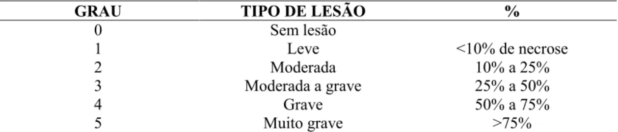 Tabela 2 - Escore dos graus de lesão celular atribuídos aos exames histológicos 