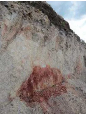 Figura 5.1.4- Afloramento da argila aluminosa comportando um volume de material plíntico, sendo possível  identificar zonas avermelhadas manchadas resultante do processo de mobilização do ferro