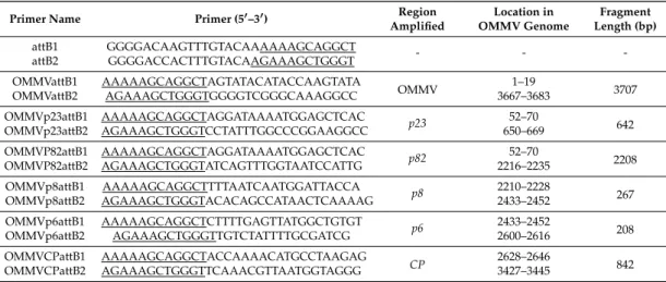 Table 1. Primers used in the Gateway recombination reactions. Recombination sequences specific for the gateway system are underlined