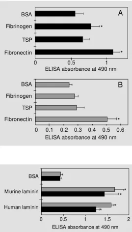 Figure 1 - Adhesion of S. schen- schen-ckii yeast cells (A) and conidia (B) t o im m obilized f ibronect in, thrombospondin and fibrinogen at 10 µg/ml compared to  adhe-sion to BSA