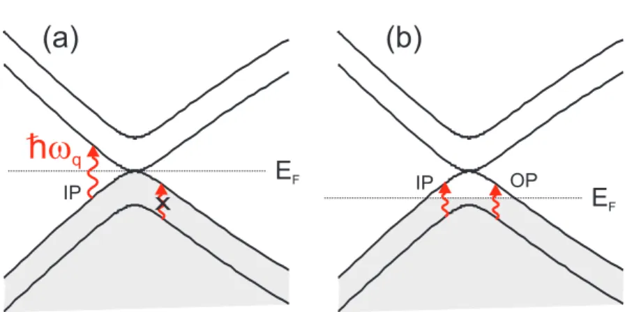 Figure 2.13 : (a) When E F = 0, only interband electron-hole pair creation by the absorp- absorp-tion of a phonon is allowed