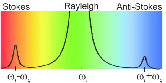 Figure 3.1 : Schematics of the Raman spectrum where an incident light with frequency ω i generates an elastically scattered light (Rayleigh) and two inelastically scattered  com-ponents with frequency ω i − ω q (Stokes) and ω i + ω q (anti- Stokes).