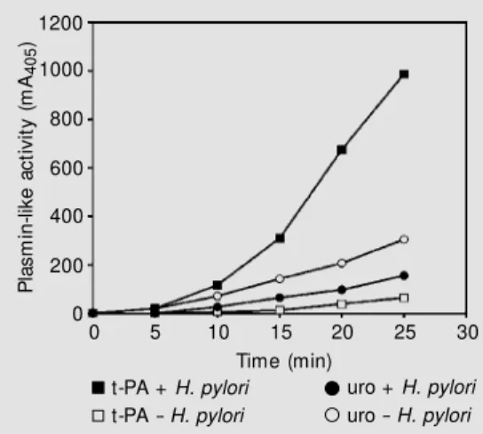 Figure 3 - Effect of H. pylori cells on t-PA- and urokinase-catalyzed plasmin formation