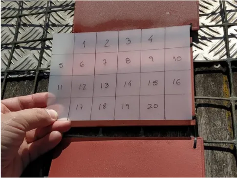 Figure 6: Auxiliary sheet to locate randomized areas for collecting both bacteria and microphytobenthos samples
