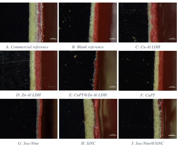 Figure 8: Images of the cross section of each plate coated using stereo microscope (Nikon SMZ18) (magnification  13.5nm) 