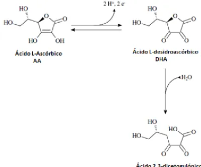 Figura 2-1: Oxidação do ácido L-ascórbico (Hernández et al., 2006) 