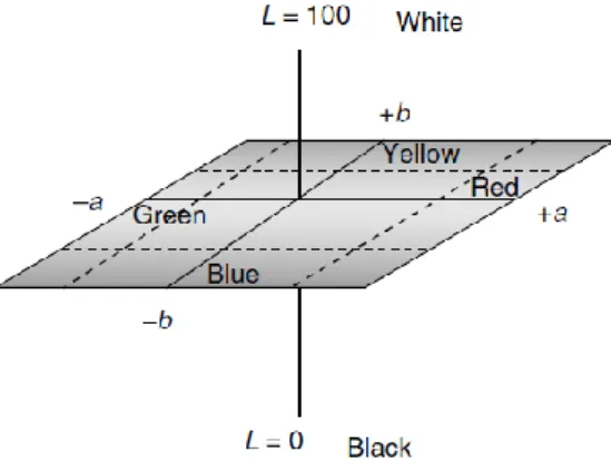 Figura 3-2: Representação tridimensional do sistema CIE L*a*b* (Lozano, 2006a) 