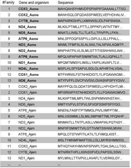 Figure 11.  File format of the original sequence data from the first database.