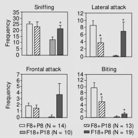 Figure 1 shows that on the 8th postpar- postpar-tum day, the frequency of lateral attack and biting in group F8+P18 was lower than in group F8+P8