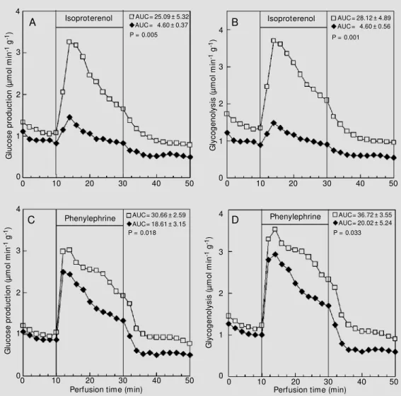 Figure 2 - Effect of isoproterenol (20 µM ; panels A and B) and phenylephrine (2 µM ; panels C and D) on glucose production and glycogenolysis