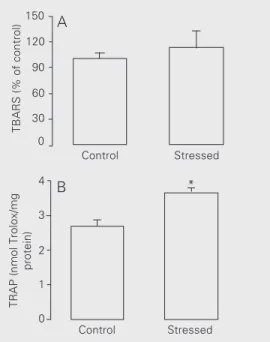 Figure 2. Effect of exposure to sub-chronic intensive stress (15 days) on TBARS (A) and TRAP (B) levels in rat lungs