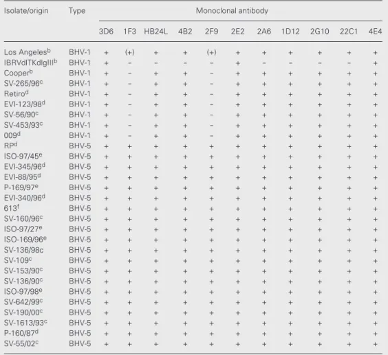 Table 2. Reactivity of monoclonal antibodies produced against antigens of a Brazilian bovine herpesvirus type 5 (BHV-5) isolate, with BHV-5 and BHV-1 field isolates and laboratory reference strains a .