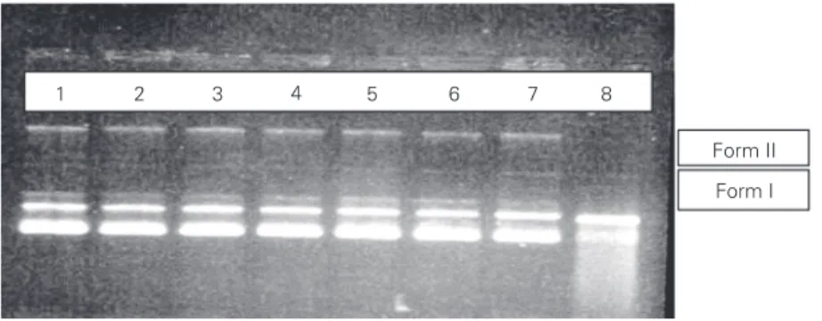 Figure 1. Ginkgo biloba crude extract (EGb) protects pUC 9.1 plasmid DNA from degrada- degrada-tion by SnCl 2 