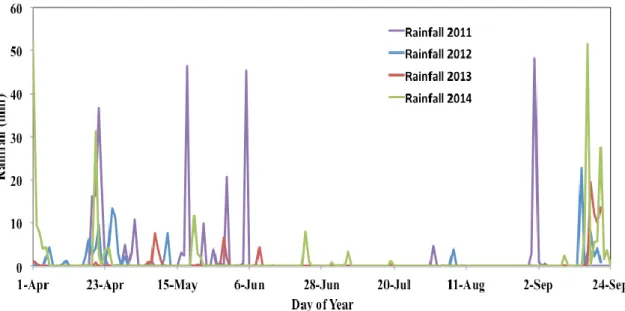 Figure 4. Daily rainfall during the  four irrigation se asons of the  study, from 2011 to 2014