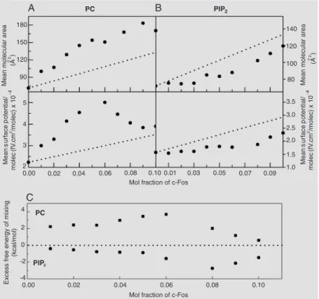 Figure 4. c-Fos-induced lipid reorganization. A, Mixtures of c-Fos with phosphatidylcholine (PC) showing expansion (upper panel) and hyperpolarization (lower panel) with respect to ideal behavior (dashed lines)