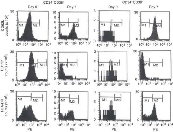 Figure 3. Frequency of cells positive for CD62L/PE, CD117/