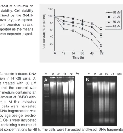 Figure 1. Effect of curcumin on HT-29 cell viability. Cell viability was determined by the  3-[4,5- dimethylthiazol-2-yl]-2,5-diphen-yltetrazolium bromide assay.