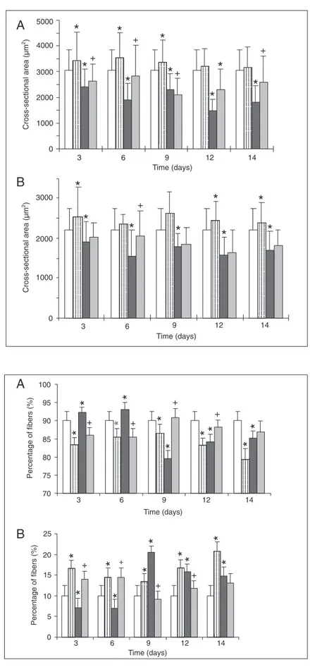 Figure 2. Changes in cross-sectional area of soleus muscle type I (A) and type II (B) fibers from the four treated groups