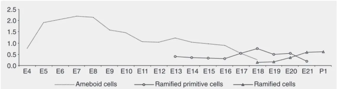 Figure 3. Ameboid, primitive ramified and ramified microglial cell percentage from embryonic day 4 (E4) to embryonic day 21 (E21) embryos and the first  neo-natal day (P1) chicks.