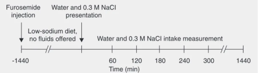 Figure 1. Schematic representation of the experimental protocol used to evaluate 0.3 M NaCl and water intake in rats submitted to furosemide-induced sodium depletion.