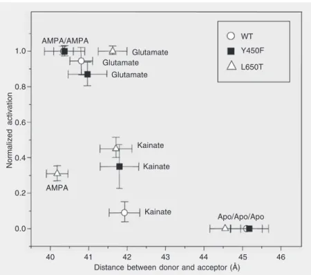 Figure 3. Distance between N-terminus/residue T394 and residue S652 as determined by fluorescence resonance energy transfer for the GluR2-S1S2 wild type (WT) and L650T and Y450F mutants plotted as a function of extent of activation for the apo and  α-amino