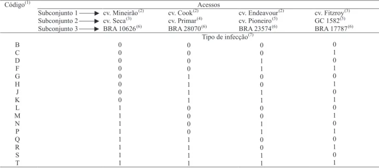 Tabela 2. Arranjo dos subconjuntos de quatro acessos diferenciadores de Stylosanthes spp