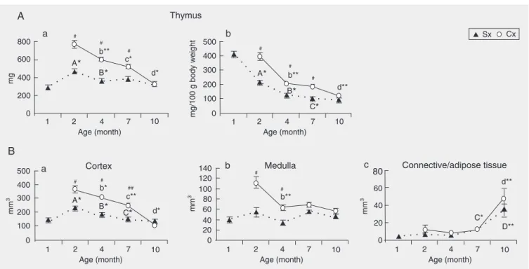 Figure 2. Age-related changes in A, absolute thymic weight (a) and relative thymic weight (b), as well as B, volume of different thymic compartments: (a) cortex, (b) medulla, and (c) connective/adipose tissue, in rats orchidectomized at the age of 30 days 