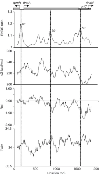 Figure 3. In silico analysis of the Xylella fastidiosa 9a5c oriC chromosomal segment. The restriction map is at the top; it contains the rpmH gene initial sequence, the 141-bp intergenic region, the dnaA gene, the replication origin oriC, and the 5' end se