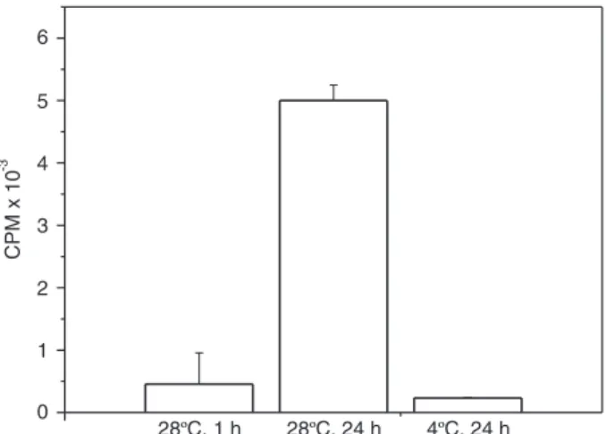 Figure 6.     Visualization of lipid uptake by Callosobruchus macula- macula-tus ovary
