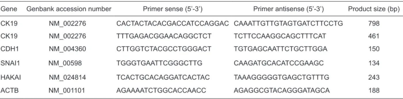 Table 3. Primer sequences used in RT-PCR.