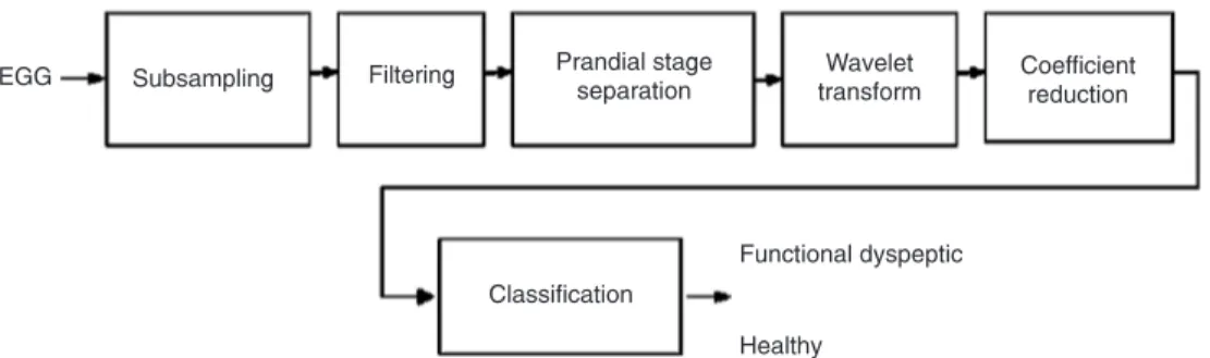 Figure 1. Preprocessing and classification steps: at the input the electrogastrograms (EGG) and at the output the classes: healthy or  functional dyspeptic.
