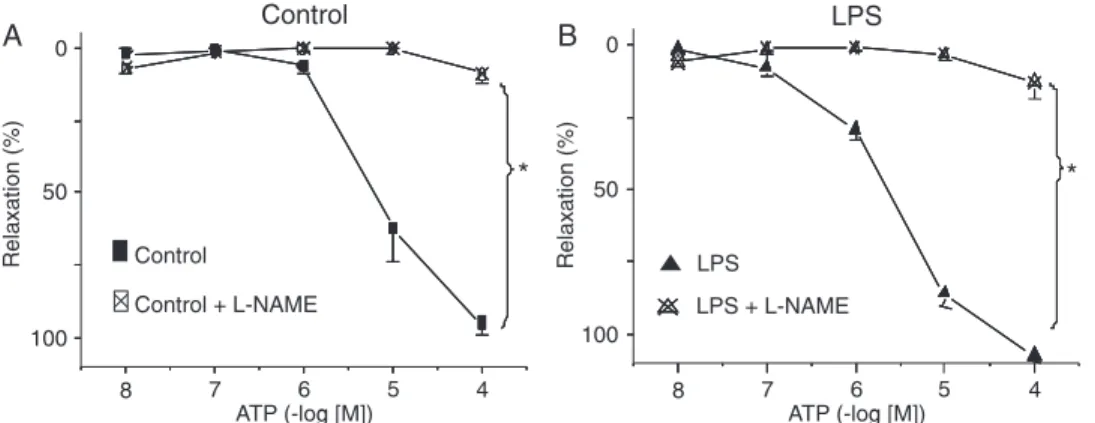 Figure 6). Different agonists were used to check and confirm  the purinergic receptor