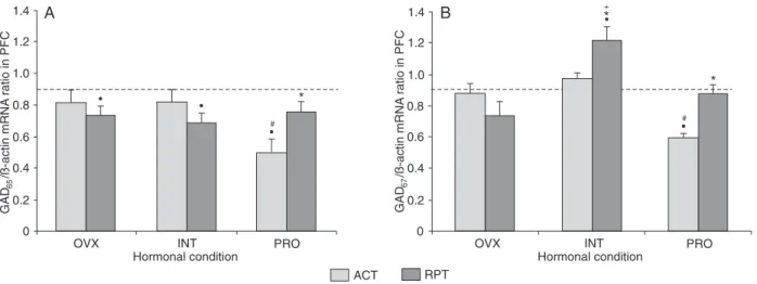 Figure 1. mRNA expression of glutamic acid decarboxylase isoenzymes (GAD 65  and GAD 67 ) in the prefrontal cortex (PFC) of female  rats according to their hormonal condition
