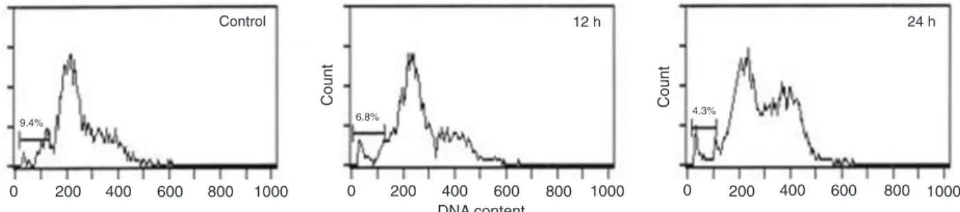 Figure 1. Apoptosis in NIH 3T3 cells irradiated after 12-O-tetradecanoylphorbol-13-acetate (TPA) treatment