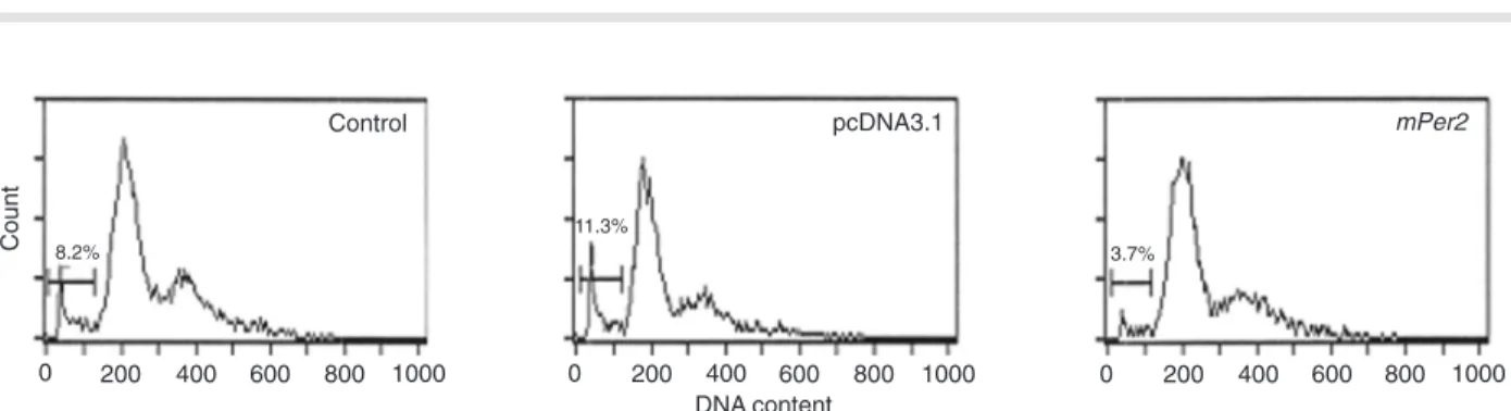 Figure  7.  Colony  formation  of  transfected  NIH  3T3  cells  after  irradiation.  A ,  Control:  cells  without  transfection;  pcDNA3.1: 