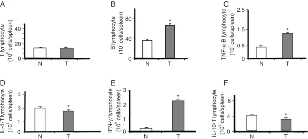 Figure 5. Quantitative analysis of spleen cells. Spleen lymphocyte counts in lipopolysaccharide-tolerant mice (T) compared with naive  mice (N) 6 h after cecal ligation and puncture for A, T lymphocytes; B, B lymphocytes; C , TNF-α-positive lymphocytes;  D