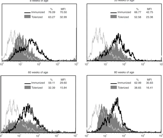 Figure 2. Age-related changes in CD86 surface marker expression in dendritic cells (DC) from immunized and tolerant BALB/c mice