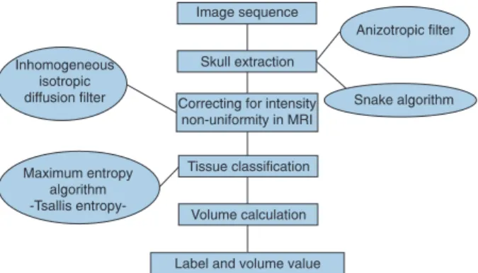 Figure  1.  Diagram of the proposed algorithm. MRI = magnetic  resonance image.