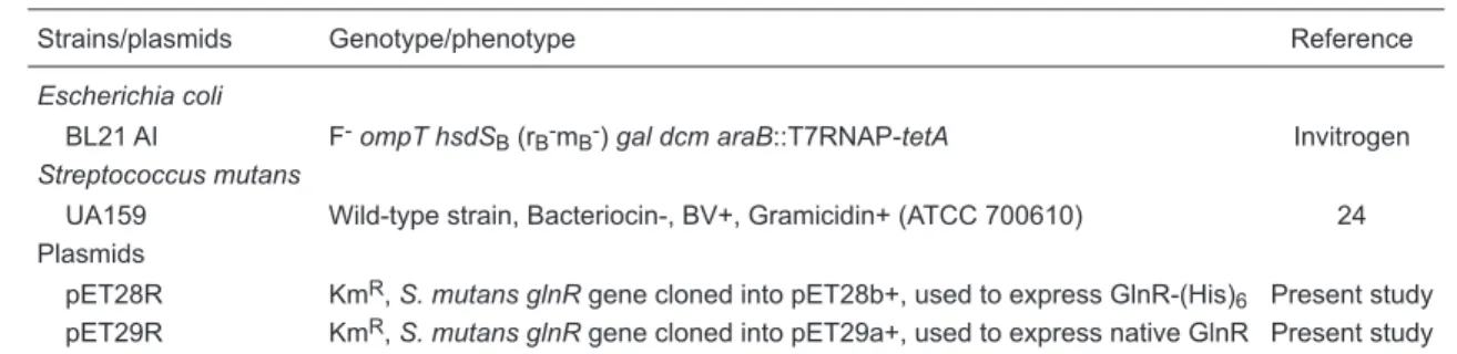 Table 2.  Primers used in the present study.