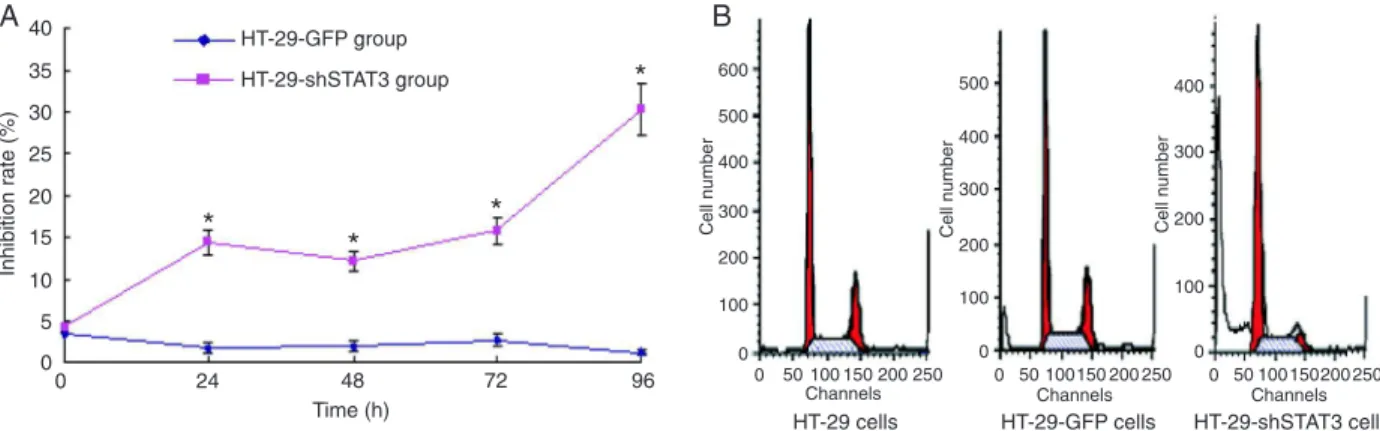 Figure  3. A, Growth inhibition curves of HT-29-shSTAT3 and HT-29-GFP cells. Data are reported as means ± SEM (N = 3)