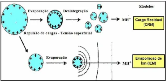 Figura 2.6: Dois  mecanismos propostos para a formação de íons gasosos no processo  de electrospray