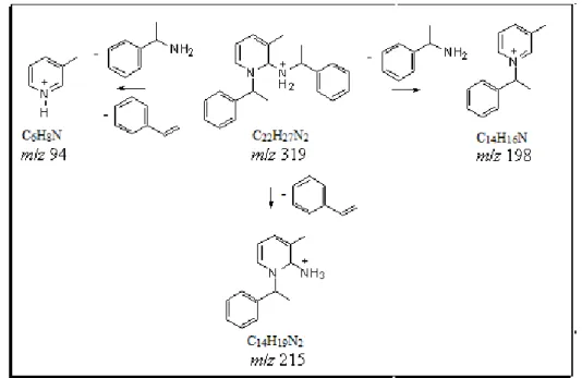 Tabela 3.2: Energia de colisão e íons produto referentes à fragmentação de cada  intermediário iônico detectado na reação Zincke com -metil-benzilamina
