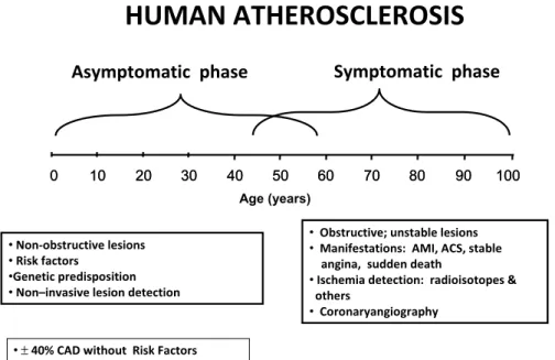 Figure 1. Spectrum of human atherosclerosis. Although most clinical manifestations occur at  middle age, the disease actually begins at birth and has a long asymptomatic period (see text)