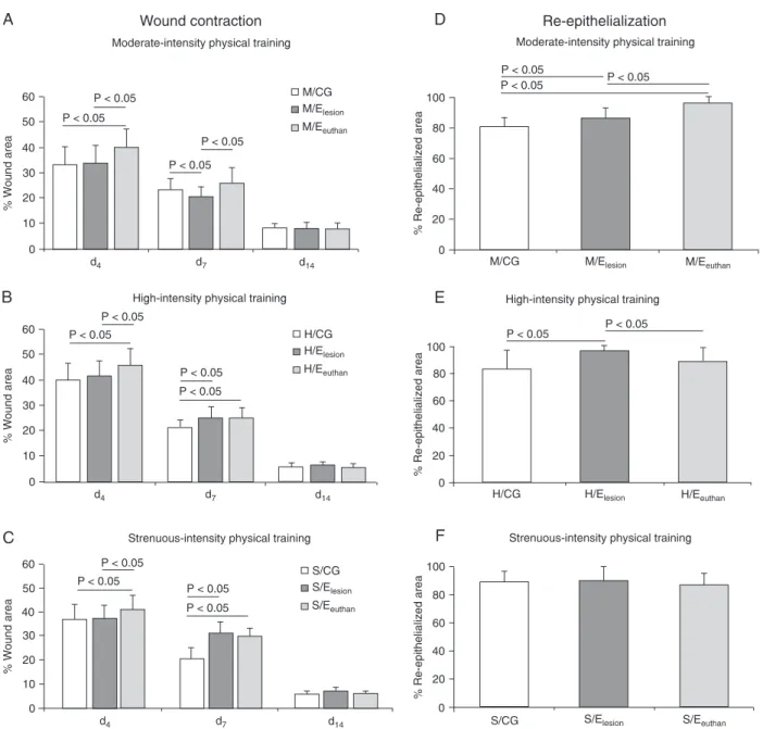 Figure 1. Effects of different physical training intensities on wound contraction 4, 7, and 14 days after wounding (A, B, C) and re-epithe- re-epithe-lialization 14 days after wounding (D, E, F)