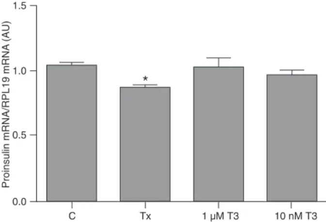 Figure  1.  Hypothyroidism  decreases  proinsulin  gene  expres- expres-sion. INS-1E cells were divided into control (C), hypothyroid (Tx)  and control plus T3 (1 µM or 10 nM T3) groups