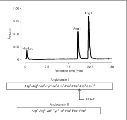 Figure 2. Hydrolysis of angiotensin I (Ang I) by the action of Ang II-forming en- en-zyme  purified  from  rat