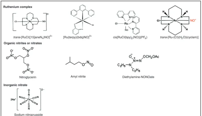 Figure 1. Structures of ruthenium complexes, organic nitrates and inorganic nitrates.