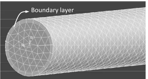 Figure 1. Unstructured grid of the tail artery with a boundary layer.