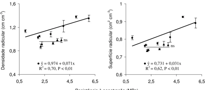 Figura 05. Densidade do comprimento radicular e superfície radicular das plantas de milho nas camadas  de 0-0,10 m ( ) e 0,10-0,20 m ( ) em função da resistência mecânica do Latossolo Vermelho  de textura média